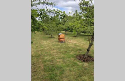 The Coach House - Foto 22