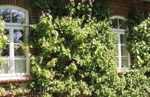 Pfarrhof Stuer - Foto 24