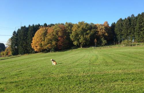 Historical Apartment - Foto 12