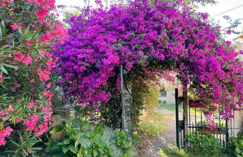 STUDIO dans Villa à Nice Ouest - Foto 10