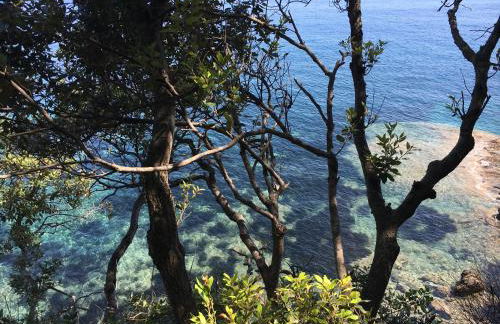 Berenice - Isola D'Elba Apartments - Foto 39