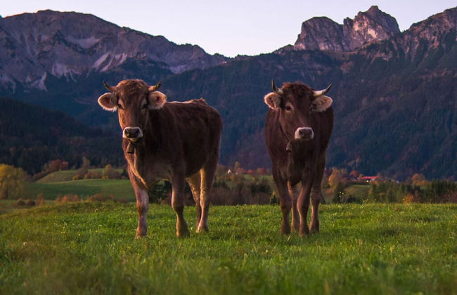 Holiday Apartment Schiechtele 2 - Foto 16