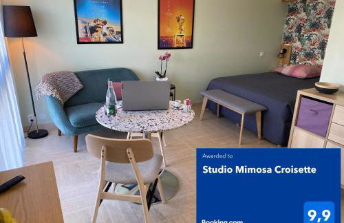 Studio Mimosa Croisette - Foto 1