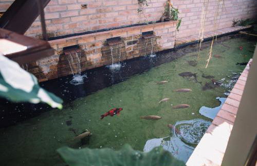 Recanto das Videiras - Casa em Vinícola - Foto 103