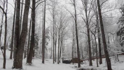 Shire Suite at White Lotus Eco Spa retreat - Foto 3