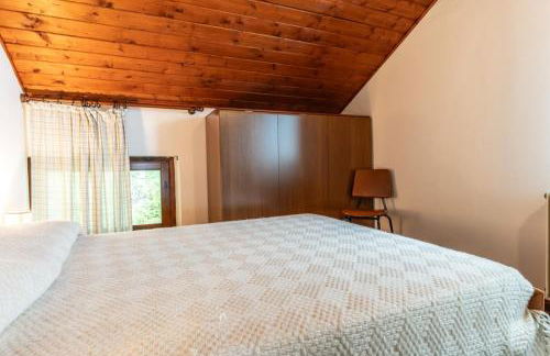 Residenza Panarotta - Vetriolo(1500m) - Foto 8