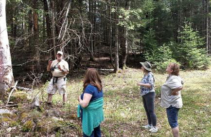 Rustic Camping Cabin with Fireplace in Private Woods near Bangor, Maine - Foto 18