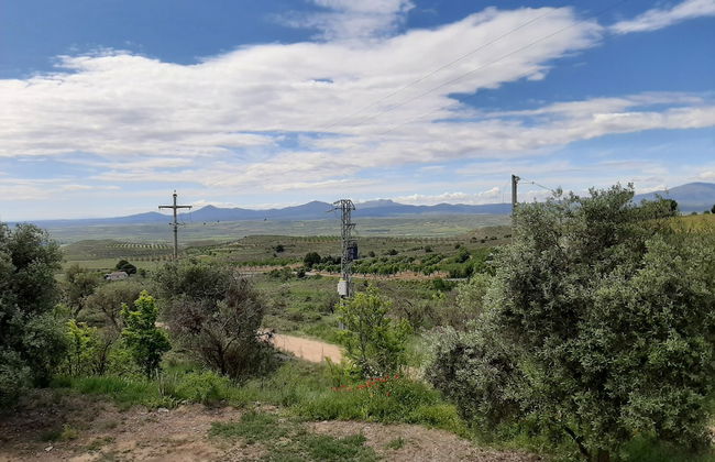 Casa Rural Garnacha de Borja has a Barbacue and Terrace - Foto 56