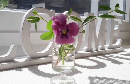 Bergische Ferienwohnung - Foto 12