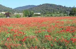 Gîte La Mosaïque - Foto 16