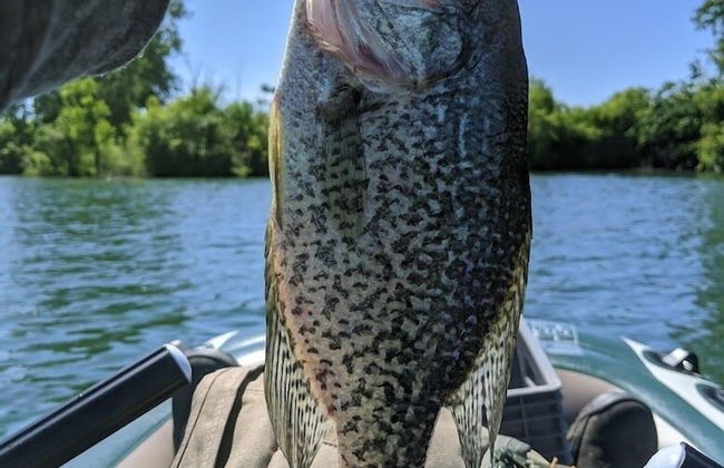 Lovely PET FRIENDLY three bedroom in desirable Urbandale Location! 3 Home by RedAwning - Foto 39