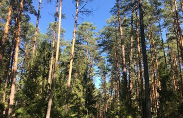 Marina Houses - Foto 29