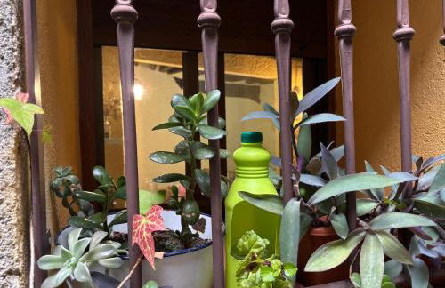 Casa Artista - Foto 46