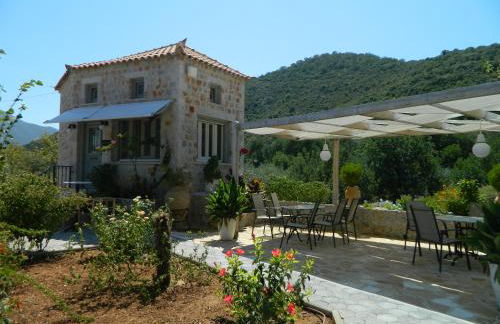 Filyra Xenonas - Foto 41