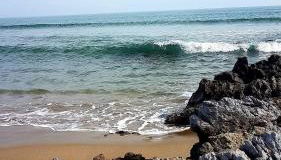 De la Clape à la mer mon petit pavillon labellisé - f2- piscine commune - wifi gratuit- parking privé - arrivee autonome - 800 m plage - grande terrasse abritée vent - - Foto 5