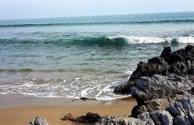 De la Clape à la mer mon petit pavillon labellisé - f2- piscine commune - wifi gratuit- parking privé - arrivee autonome - 800 m plage - grande terrasse abritée vent - - Foto 5