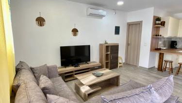 Sea Sound Villa at Perivolos Santorini - Foto 5