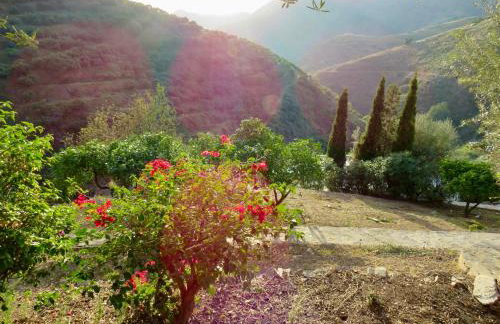 Finca RustiQ - Photo 7