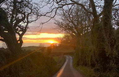 SANDYVIEWS - Foto 39