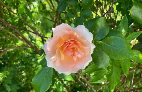 Landhuus Stender - Foto 9