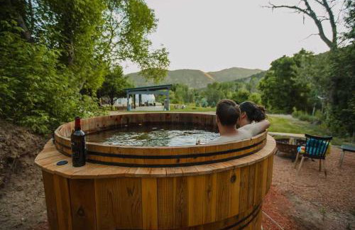 Zen Zion Evergreen Dome - Photo 25