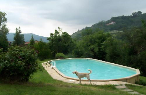 Villa con parco e piscina-Camaiore - Foto 19