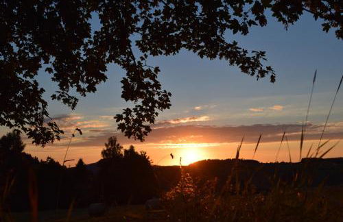 Ferienhaus Kohlmeise - Foto 9