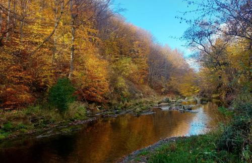 ROKOSZ - Noclegi Beskid Niski - Foto 29