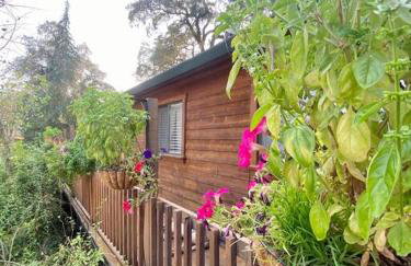 B-B Ranch Cottage~Heart of Gold Country~*HOT TUB* - Foto 42