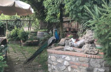 Agriturismo La Baita - Foto 53