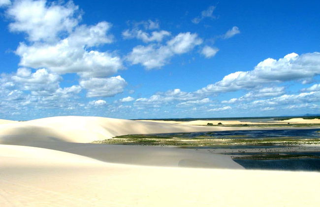 Jericoacoara Private Off-Road Buggy Tour - Photo 2