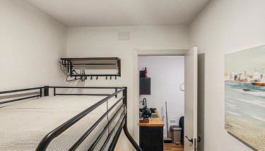 Pettit Lion - Foto 3