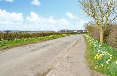 Mischief - Uk49322 - Foto 14