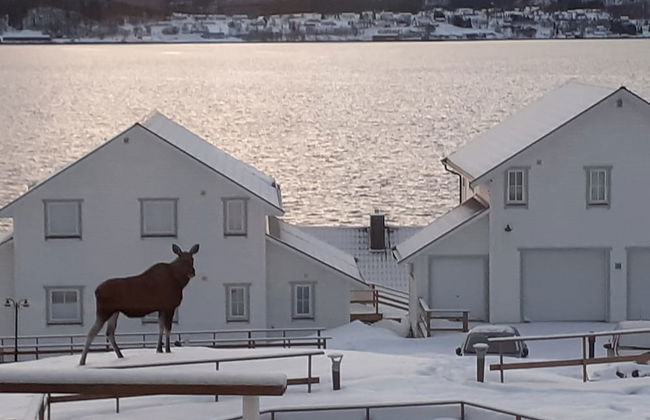 Furoy Hotel Apartments and Boating - Foto 39