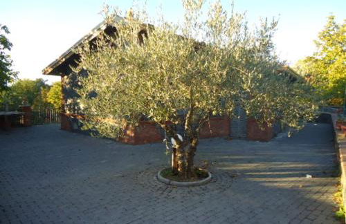 Casa Monte Etna - Foto 69