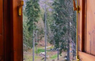 ~Chalet_Rifugio tra i boschi~ - Foto 46