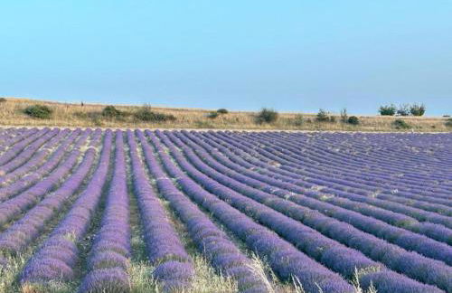 Château Luxury Stay Montbrun - Foto 30