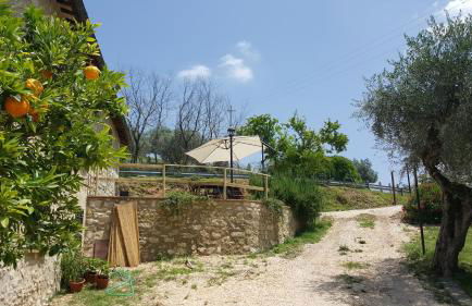 Il Merangolo - Foto 13