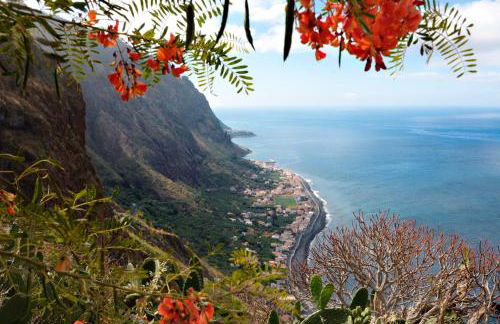 OurMadeira - Chalet Prazeres - Foto 19