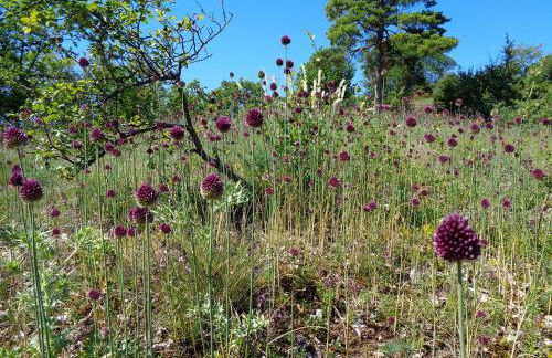 Ferienwohnung Löber - Foto 23