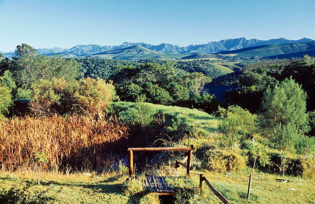 Moon Shine on Whiskey Creek - Foto 51