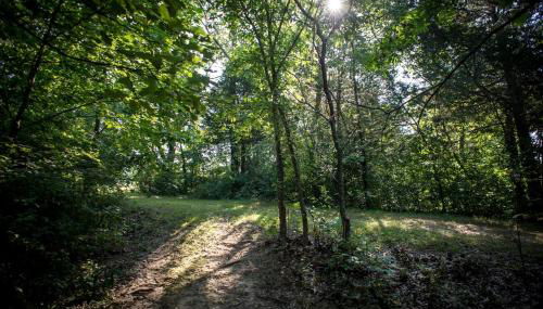 Wonderful Lakefront Cabin with Hot-tub in Carbondale, Illinois - Foto 5