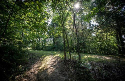 Cozy Rustic Cabin with Hot-Tub Ideal for a Couples Retreat in Illinois - Foto 22