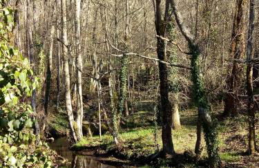 A Casa da Boa Xente VUT-OU-1329 - Foto 14