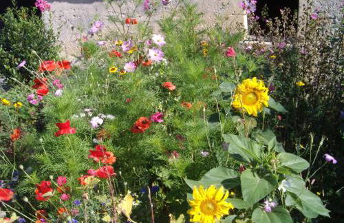 Gites Les Rainettes - Foto 16