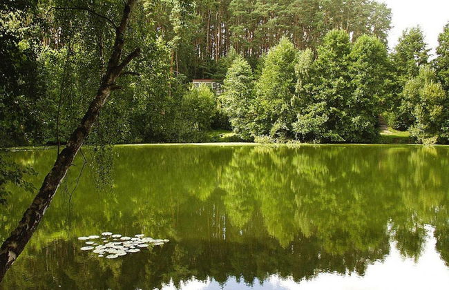 Holiday Home by Lake Grundlossee With Rowboat - Foto 14