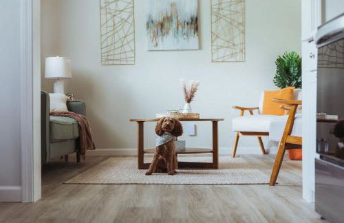 Sage Haven #5 - Foto 4