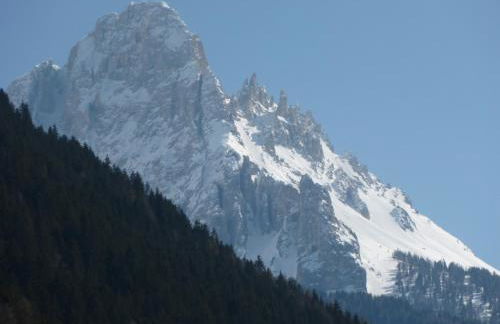 Garni B&B Apartments Plank - Foto 46