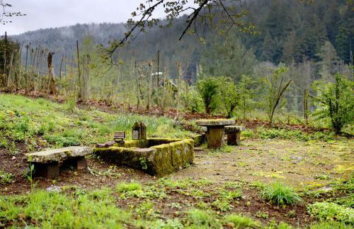 Haus Erika - Foto 30