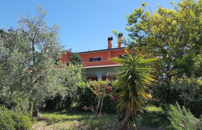 Agriturismo Il Giogo - Photo 45